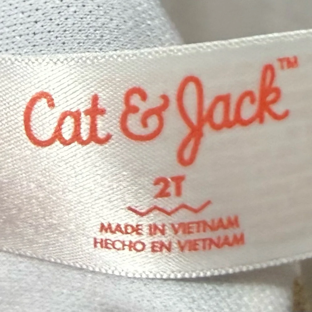 Cat & Jack girls swim